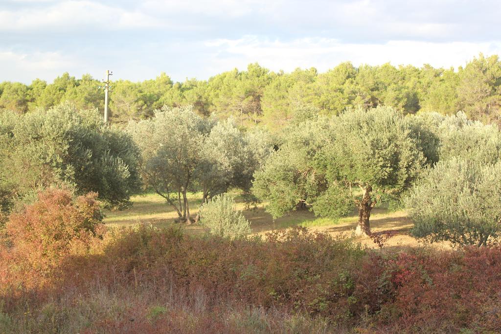 Apartments Villa Marnii Kožino Δωμάτιο φωτογραφία